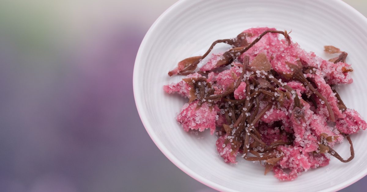 たまさくは塩辛い調べ しおたま スイートさくらコンビ敬愛を語る 乙女語り